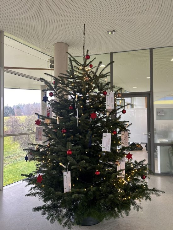 2025_12_14 Wunschbaum 2